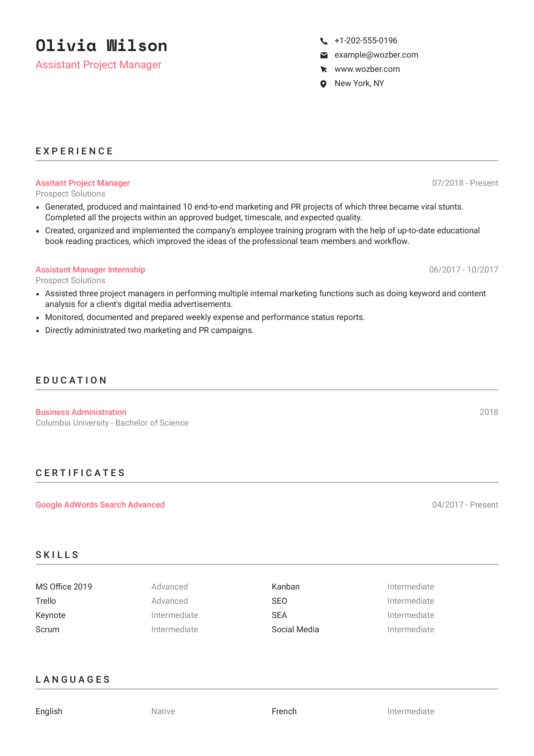 Modern resume example for Assistant Project Manager position